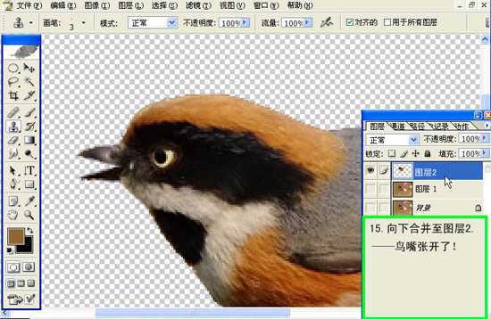 ‘Photoshop