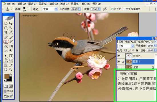 ‘Photoshop