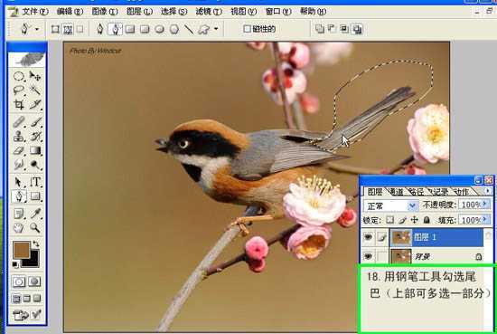 ‘Photoshop