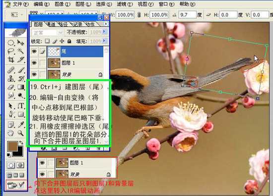 ‘Photoshop