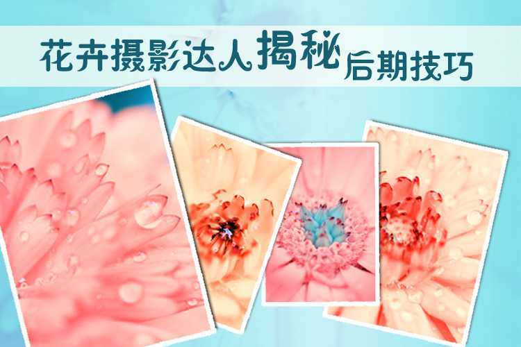 ‘photoshop为夏日花朵摄影照片调制出唯美的色彩效果‘