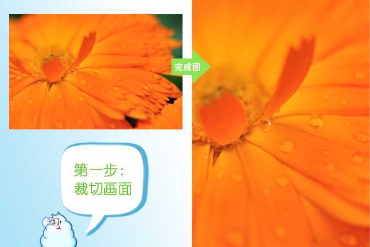 ‘photoshop为夏日花朵摄影照片调制出唯美的色彩效果‘