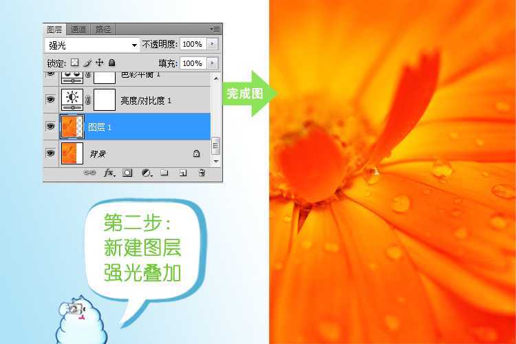 ‘photoshop为夏日花朵摄影照片调制出唯美的色彩效果‘