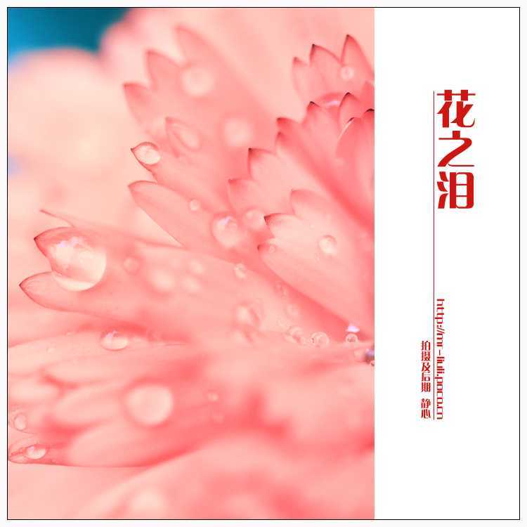 ‘photoshop为夏日花朵摄影照片调制出唯美的色彩效果‘