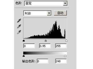 ‘怎样用Photoshop(ps)将图片调为泛白青色效果实例‘