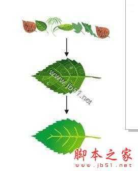 CorelDRAW解析网状填充运用教程,CDR教程