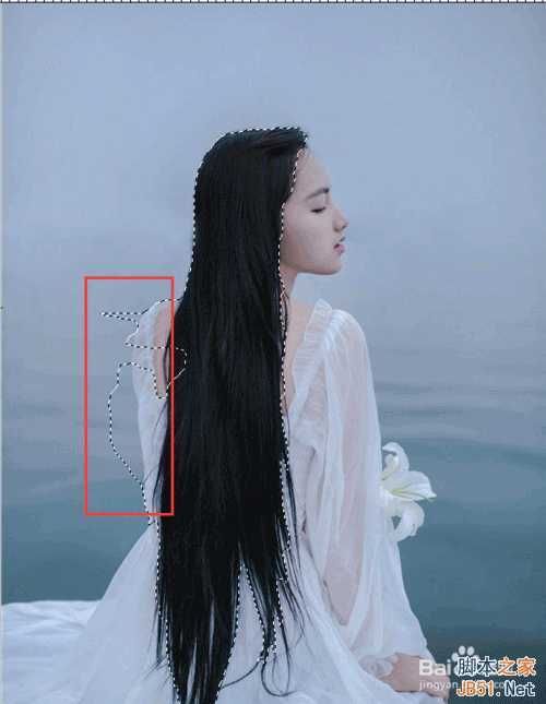 ‘PS抠图技巧:快速选择工具快速抠图‘