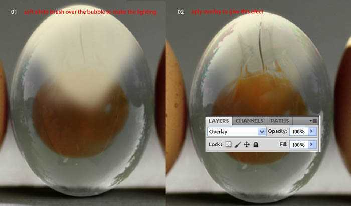 ‘Photoshop合成逼真的透明鸡蛋图文教程‘