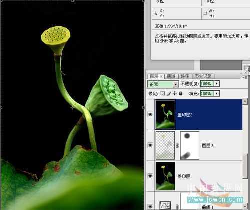 技术分享