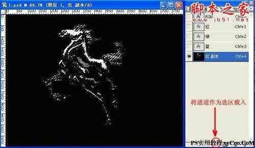 ‘photoshop使用滤镜制作液态飞马特效‘