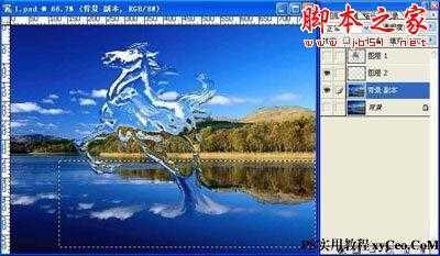 ‘photoshop使用滤镜制作液态飞马特效‘