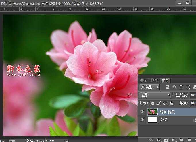 ‘Photoshop将花卉特写图片打造具有古典韵味的黄褐色效果‘
