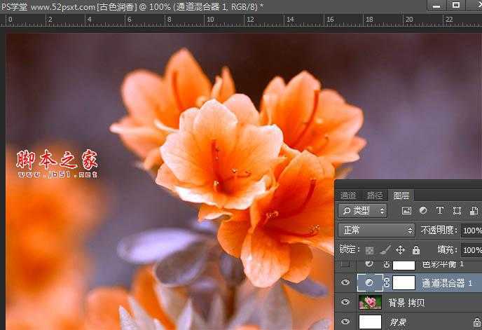 ‘Photoshop将花卉特写图片打造具有古典韵味的黄褐色效果‘