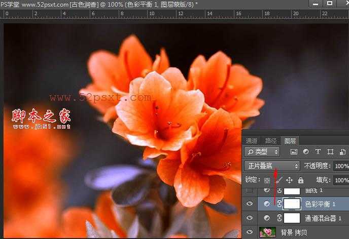 ‘Photoshop将花卉特写图片打造具有古典韵味的黄褐色效果‘