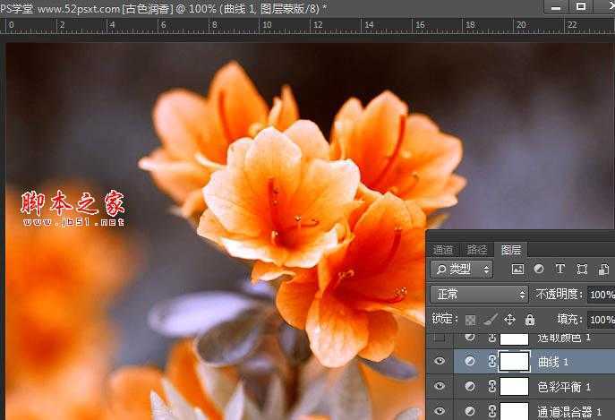 ‘Photoshop将花卉特写图片打造具有古典韵味的黄褐色效果‘