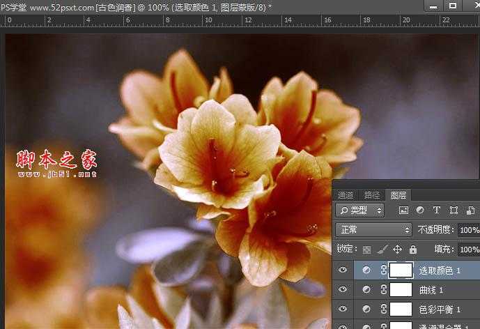 ‘Photoshop将花卉特写图片打造具有古典韵味的黄褐色效果‘