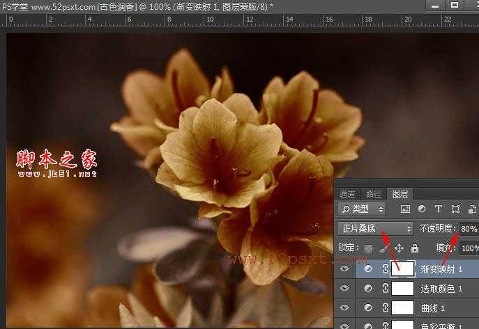 ‘Photoshop将花卉特写图片打造具有古典韵味的黄褐色效果‘