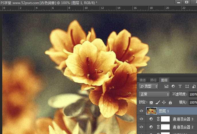 ‘Photoshop将花卉特写图片打造具有古典韵味的黄褐色效果‘