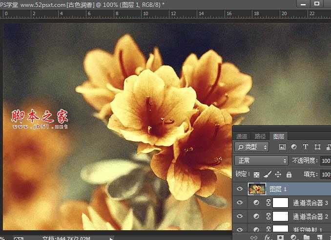 ‘Photoshop将花卉特写图片打造具有古典韵味的黄褐色效果‘