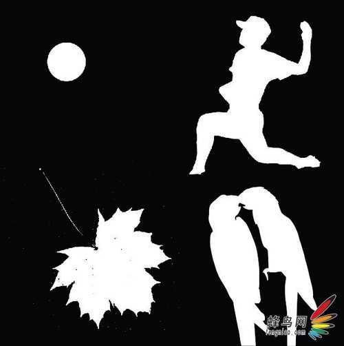 ‘photoshop利用通道为猫咪画面选出主体‘