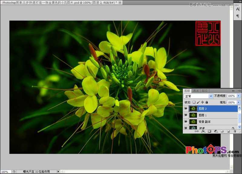 ‘Photoshop为花朵照片调出意境黄色调‘