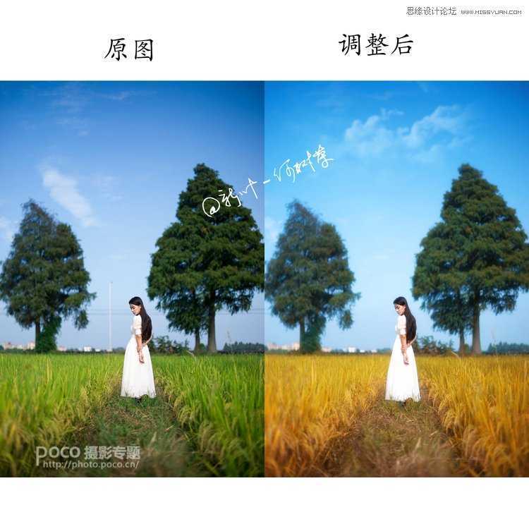 ‘Photoshop调出外景人像照片秋季淡黄色调效果‘