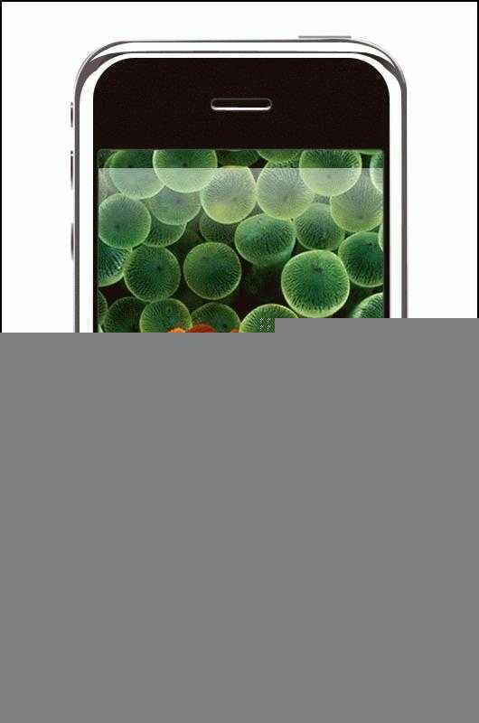 望眼欲穿Photoshop设计超绚丽iPhone(3)