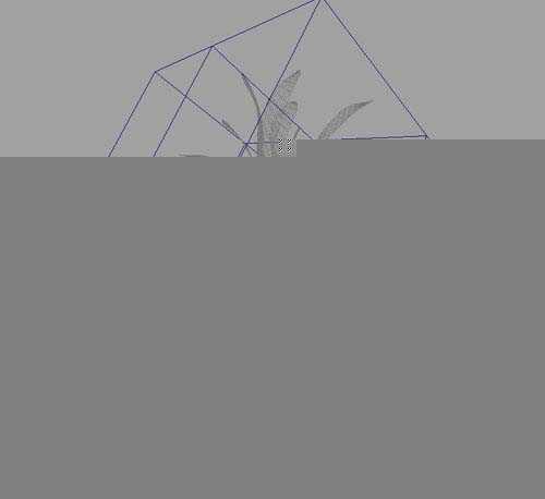 maya鸟类建模
