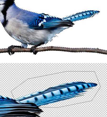 ‘photoshop合成超可爱的奇幻卡通画‘