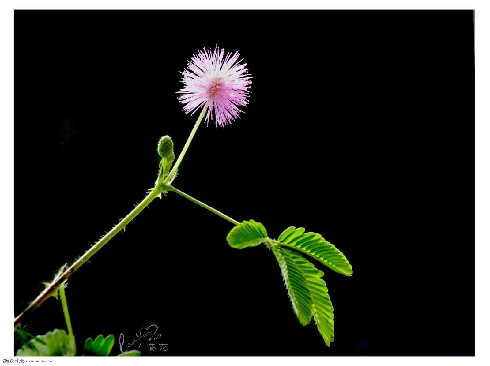 ‘Photoshop通过曝光度里的黑场命令制作唯美的光影效果‘