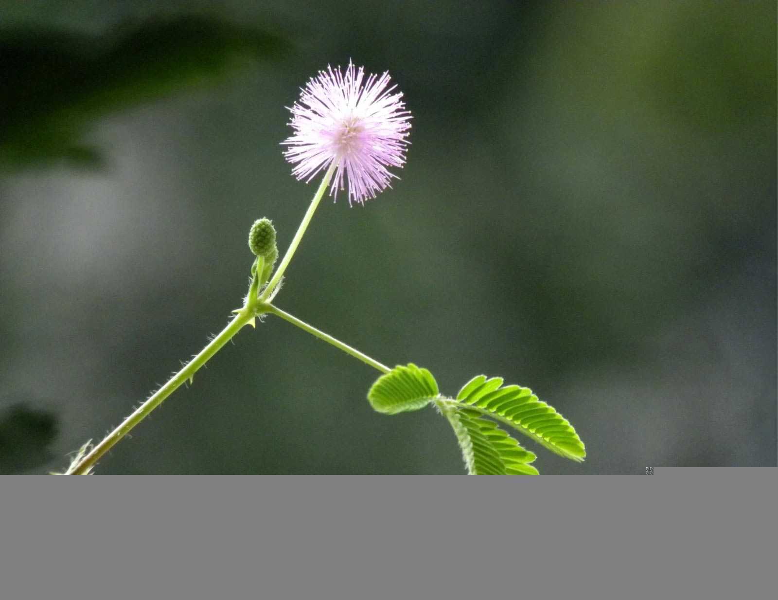 ‘Photoshop通过曝光度里的黑场命令制作唯美的光影效果‘