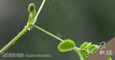 ‘Photoshop通过曝光度里的黑场命令制作唯美的光影效果‘