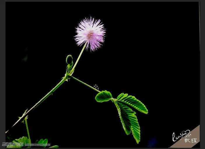 ‘Photoshop通过曝光度里的黑场命令制作唯美的光影效果‘