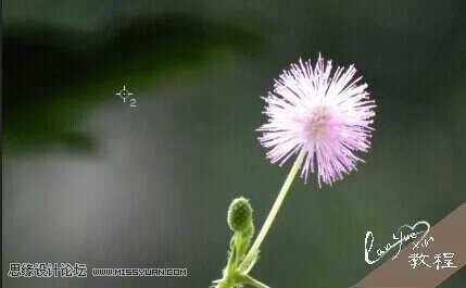 ‘Photoshop通过曝光度里的黑场命令制作唯美的光影效果‘