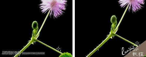 ‘Photoshop通过曝光度里的黑场命令制作唯美的光影效果‘