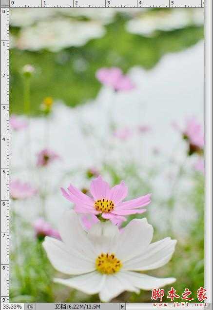 ‘Photoshop制作色谱花卉主题作品教程‘