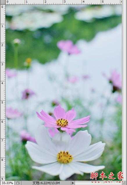 ‘Photoshop制作色谱花卉主题作品教程‘
