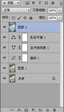 ‘Photoshop制作色谱花卉主题作品教程‘
