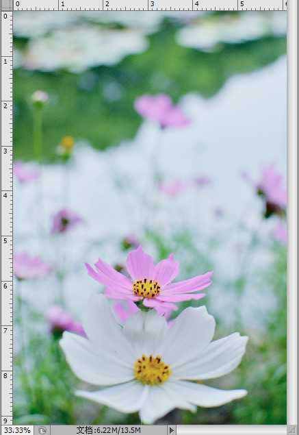 ‘Photoshop制作色谱花卉主题作品教程‘