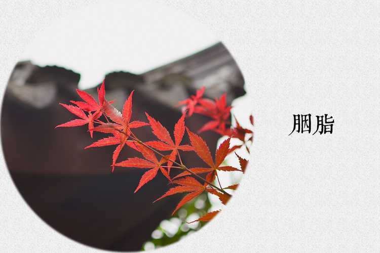 ‘Photoshop制作色谱花卉主题作品教程‘