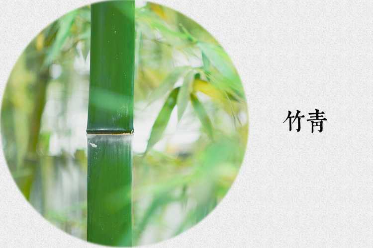 ‘Photoshop制作色谱花卉主题作品教程‘