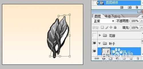 ‘使用photoshop手工绘制花朵教程‘