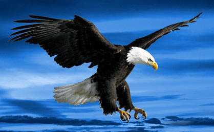 ‘Photoshop制作一只创意的云彩雄鹰‘