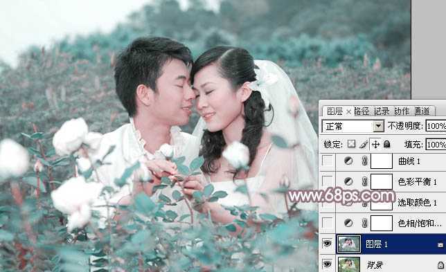 ‘Photoshop为玫瑰园婚照调制出蓝紫中性色‘