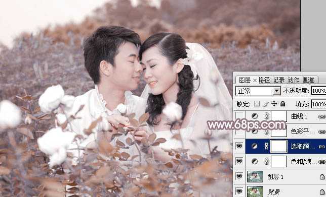 ‘Photoshop为玫瑰园婚照调制出蓝紫中性色‘