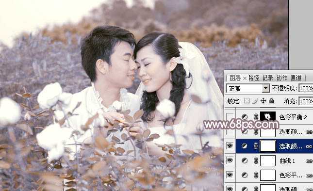 ‘Photoshop为玫瑰园婚照调制出蓝紫中性色‘