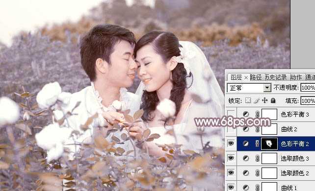 ‘Photoshop为玫瑰园婚照调制出蓝紫中性色‘