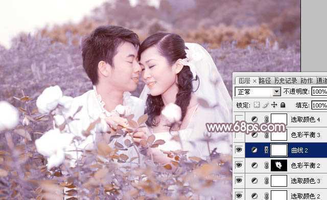 ‘Photoshop为玫瑰园婚照调制出蓝紫中性色‘