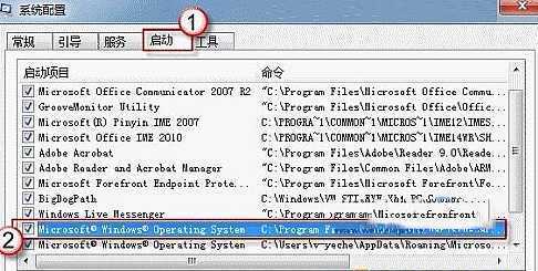 勾选C:\Program Files\Windows Sidebar\sidebar.exe/autoRun