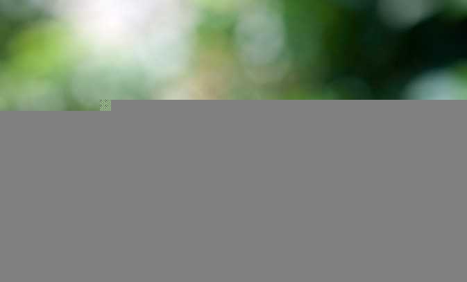 ‘PS简单打造漂亮梦幻的冷色调青蓝荷花图片技巧介绍‘